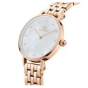 Orologio Daniel Wellington DW00100613
