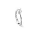 Anello Salvini solitario  20074824