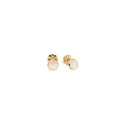 Anello Aquaforte Tonde Reverse  H4180255